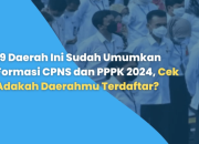 Pemerintah Pusat Umumkan Instansi PPPK dan CPNS 2024