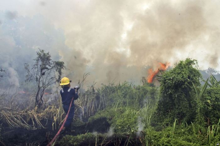 Kerjasama internasional pemadaman kebakaran hutan di Indonesia