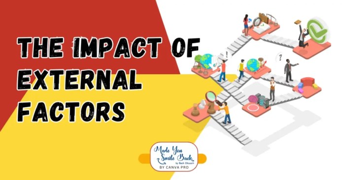 Faktor eksternal yang memengaruhi hari ke-16