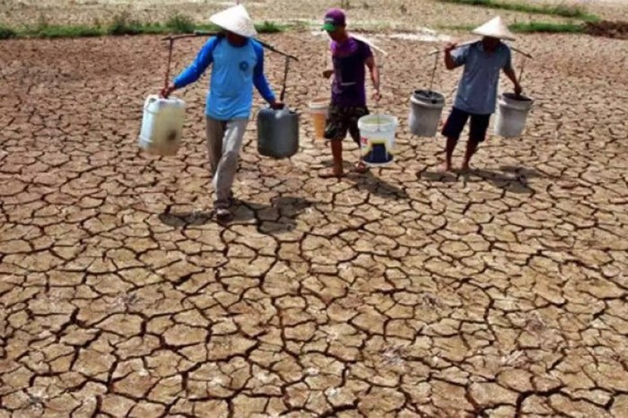 Dampak sosial kemarau basah di indonesia