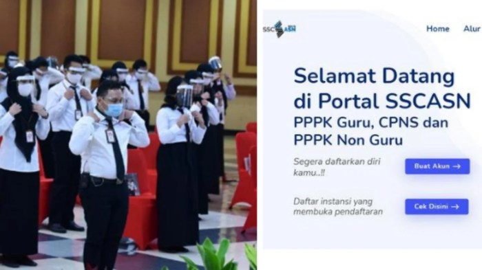 Langkah-langkah pengecekan SK CPNS Sabang Juli 2023 online di BKPSDM
