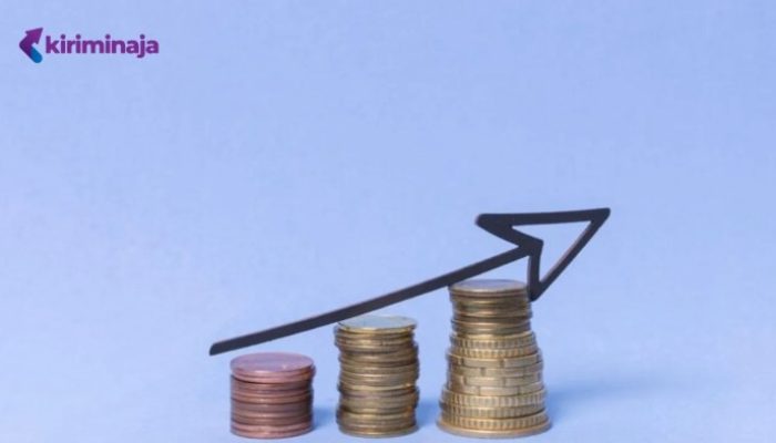 Spekulasi dan Sentimen Pasar Mempengaruhi Harga Pi Network