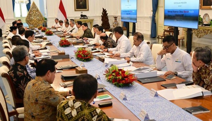 Kekurangan Manajemen Koperasi Desa Merah Putih