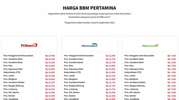 Daftar harga bbm terbaru per provinsi di indonesia mei 2025