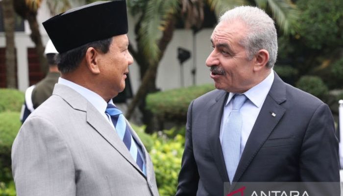 Prabowo Dukung Kemerdekaan Palestina di OKI Strategi dan Dampaknya