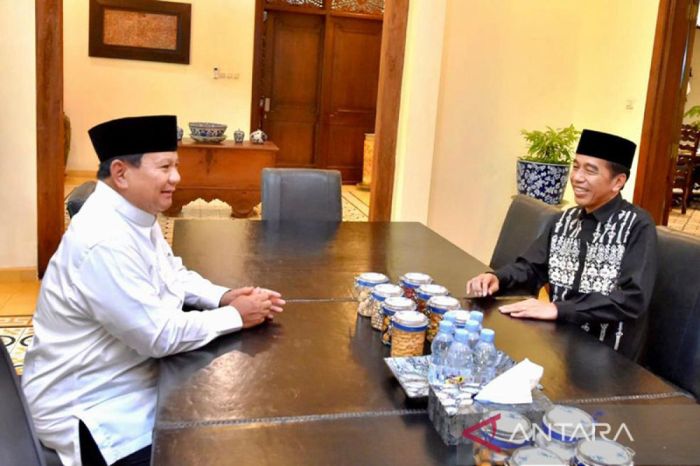 Respon publik terhadap pertemuan presiden prabowo dan bill gates