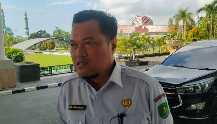 Solusi Keterlambatan SK CPNS PPPK di Karimun