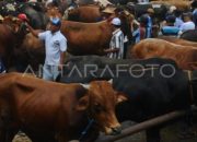 Persyaratan Administrasi SPMB Jateng 2025 Lengkap dan Mudah