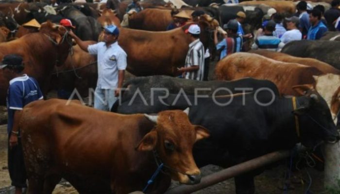 Persyaratan Administrasi SPMB Jateng 2025 Lengkap dan Mudah