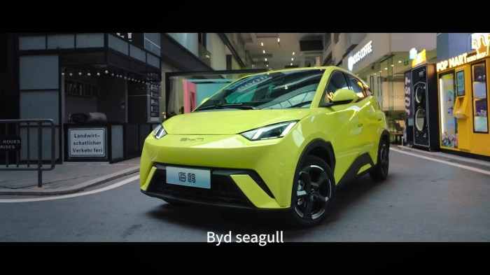 Low cost BYD Seagull city electric car gets over 10,000 orders in 24 hours