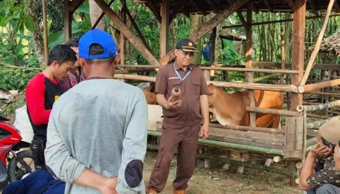 Aturan Baru Pakan Ternak di Beberapa Daerah Wassenaar