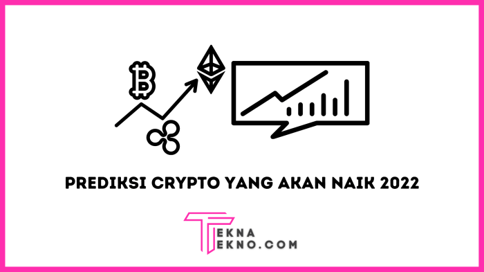 Perbandingan kinerja solayer dengan proyek crypto lain yang sejenis