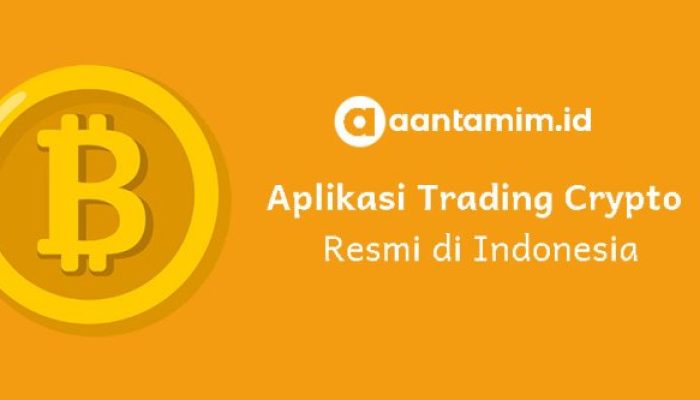 Investasi Kripto Solayer di Indodax Panduan dan Analisis