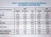 Dampak Pengangguran 6,01% di Pasaman Barat Terhadap Ekonomi