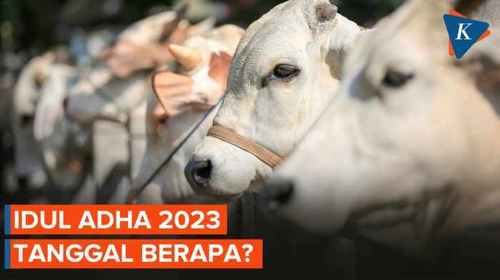 Sebab perbedaan penetapan Idul Adha Muhammadiyah dan NU 2025