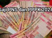 Penjelasan Rinci Gaji PPPK 2025 Berdasarkan Jabatan Fungsional