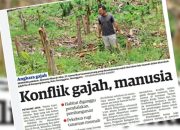 Tanggapan Pemerintah Malaysia Terhadap Tragedi Gajah Terlindas
