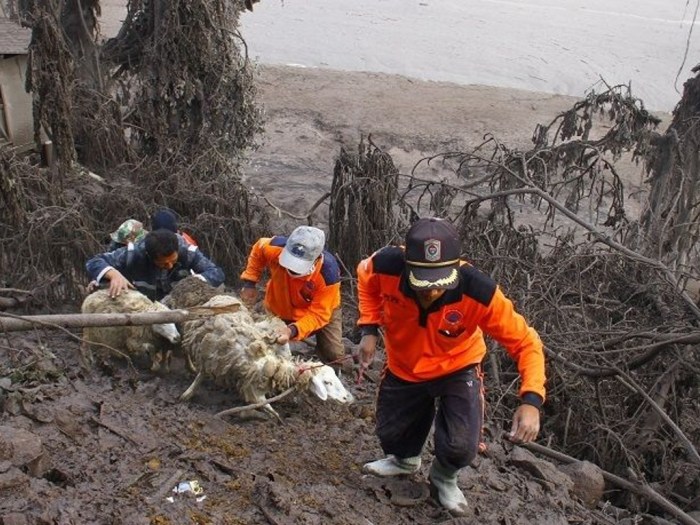 Upaya penyelamatan dan evakuasi korban erupsi gunung semeru