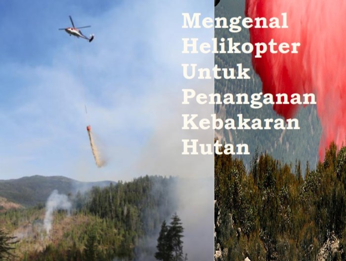 Kerjasama internasional pemadaman kebakaran hutan di Indonesia