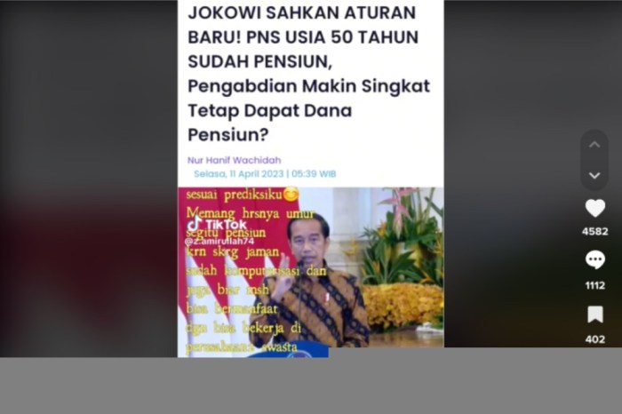 Sanksi pelanggaran bagi pensiunan pns di indonesia