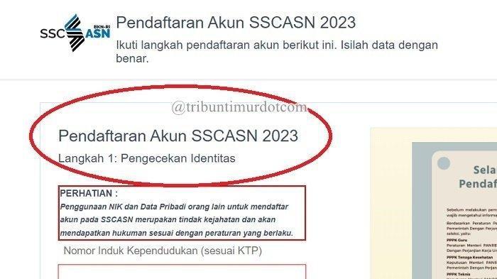 Langkah-langkah pengecekan SK CPNS Sabang Juli 2023 online di BKPSDM