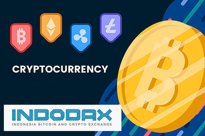 Investasi kripto solayer di platform indodex