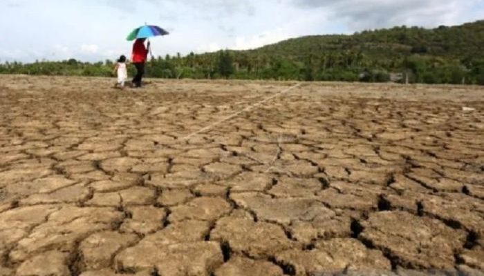 Dampak Sosial Kemarau Basah di Indonesia
