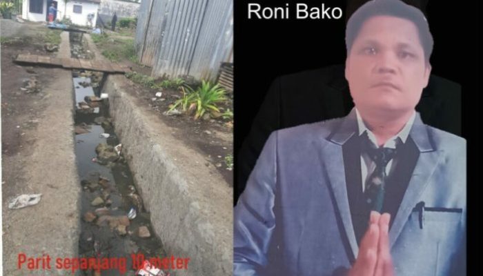 Kronologi Penangkapan Mantan Kades Sitinjo II Perjalanan Menuju Keadilan