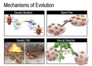 Bentrok Mutasi Luhut Dampak Terhadap Citranya