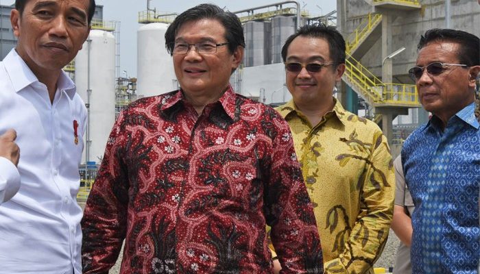 Alasan Prajogo Pangestu Miliki Chandra Daya Investasi