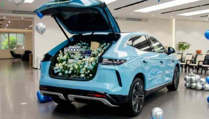 Dampak Keterlambatan Denza D9 pada Reputasi Perusahaan