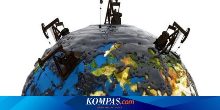 Keuntungan dan kerugian impor CPO Indonesia ke Rusia