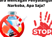 Upaya Pemerintah Tangani Narkoba dan Dampaknya pada Masyarakat