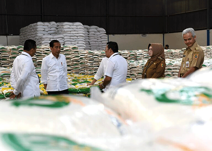 Kebijakan pemerintah terkait bantuan beras akhir juni 2025