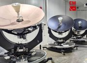 Informasi Penting Ular King Kobra 3 Meter Masuk Rumah