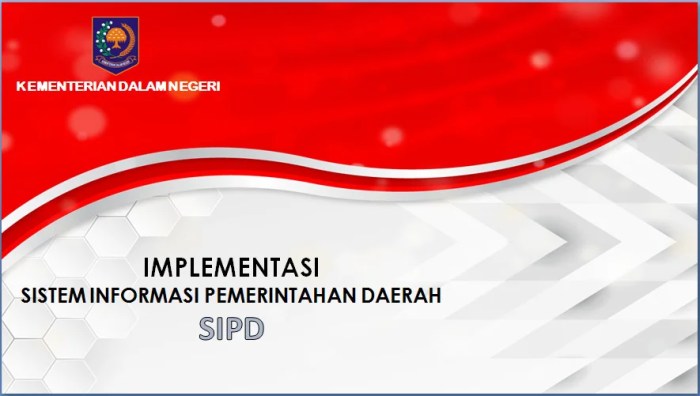 Peran pemerintah daerah dalam penerapan SIPD-RI untuk tata kelola keuangan terintegrasi di Samosir