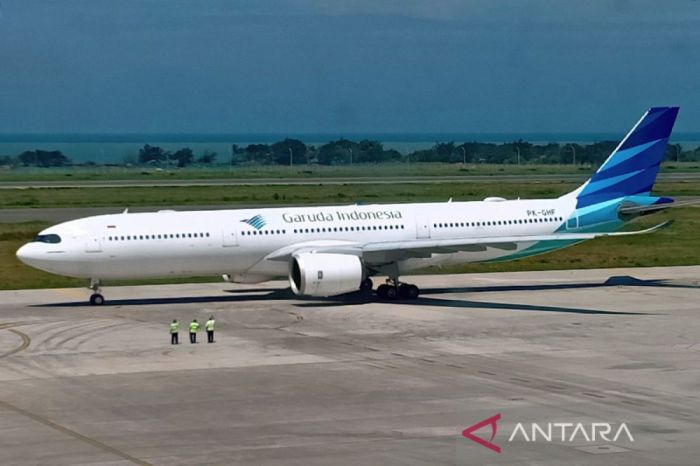 Garuda Indonesia seeks swifter recovery after peace proposal approval ...