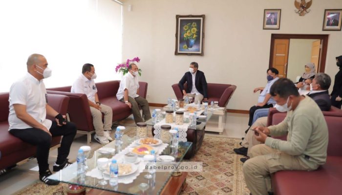 Profil Direksi dan Komisaris INALUM Periode Terbaru