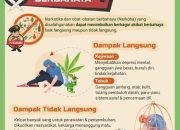 Mencegah Penyalahgunaan Narkoba di Sekolah Langkah-Langkah Efektif