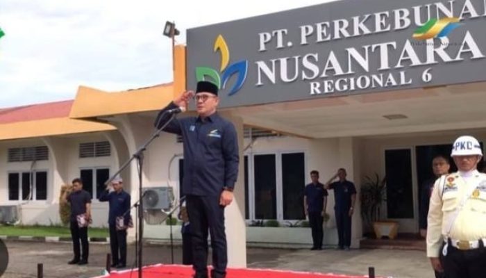Dugaan Permainan Vendor dan Pelanggaran Standar RSPO di PTPN IV Reg 6: Pekerjaan Dikerjakan Orang Dalam, Tanpa APD