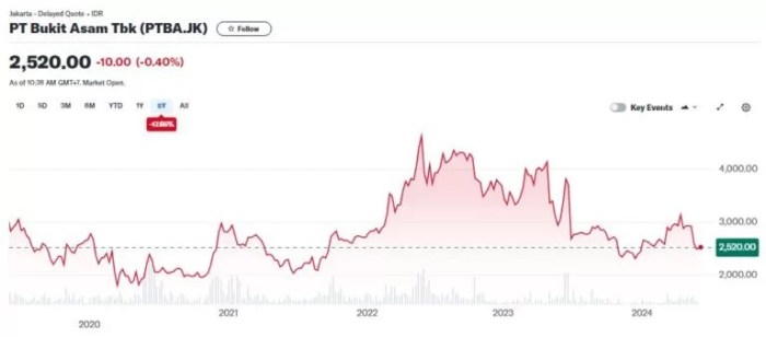Saham-saham alternatif dengan potensi dividen tinggi seperti ANTM dan PTBA