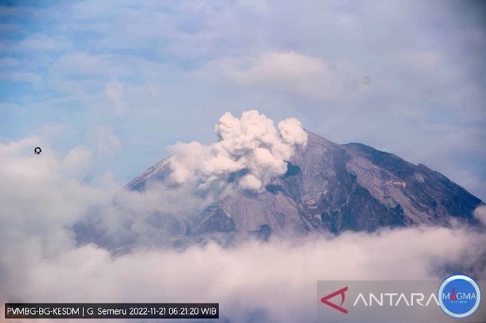 Gunung Semeru Erupsi Pagi Ini, Letusan 800 Meter di Atas Puncak