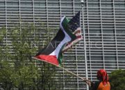 Solidaritas Indonesia untuk Palestina di Kedubes Mesir