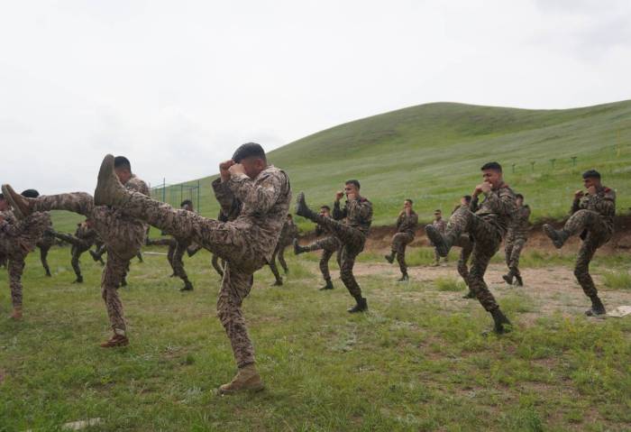 India-Mongolia joint military exercise 'Nomadic Elephant' begins in ...