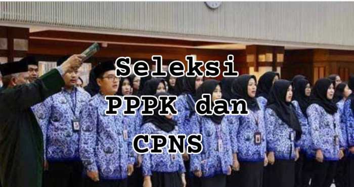 Seleksi PPPK Dibedakan Khusus dan Umum, Simak Perbedaan Keduanya di Sini!