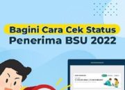 Update Pencairan BSU 2025 Terbaru di bsu.bpjsketenagakerjaan.go.id