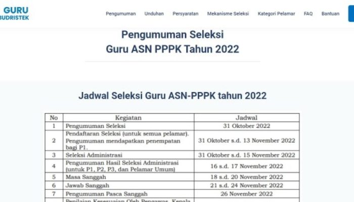 Update Terbaru Jadwal Pengumuman PPPK Tahap 2