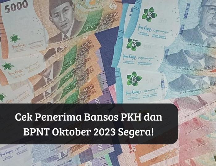 Cara cek penerima bansos pkh dan bpnt 2025 sampai 600 ribu