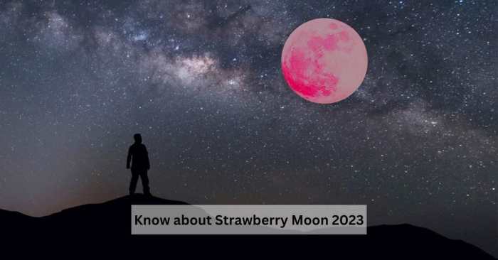 What is Strawberry Moon? Know its Significance, Date, and Time What is Strawberry Moon? Know its Significance, Date, and Time