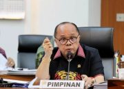 Dampak Gagal Seleksi PPPK Tahap 2 pada Status Honorer